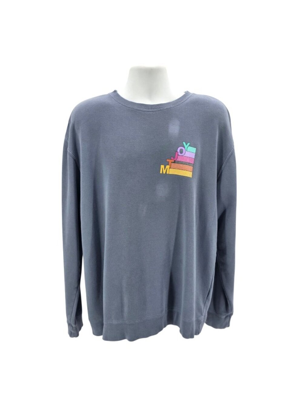 Mt Joy Adult XL Sweatshirt Blue Gray Graphic Independent Trading Company